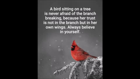 Motivational Thursday