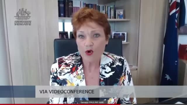 Pauline Hanson hits back at Jackie Lambie in Senate