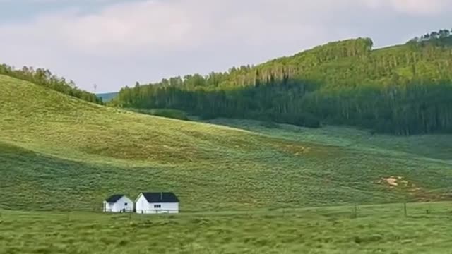 If you say so… nature
