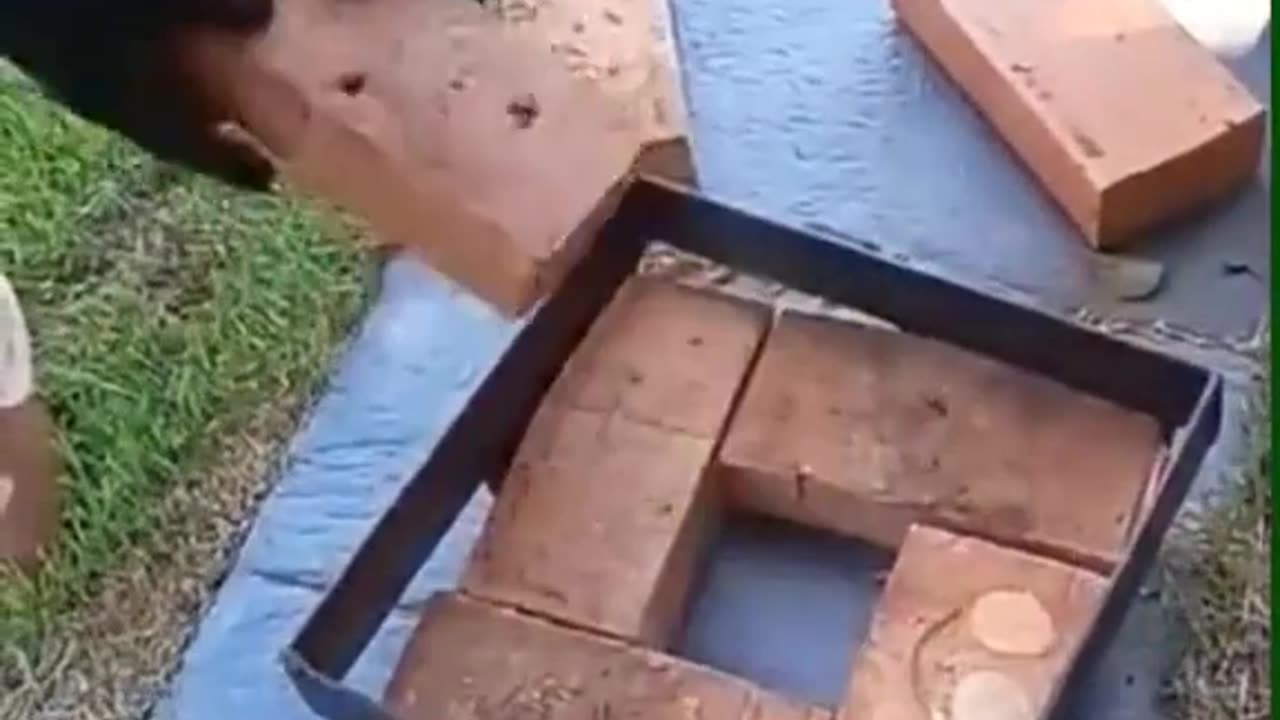 Nice Trick
