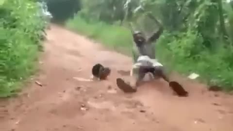 Paambu comedy video Funny snake video