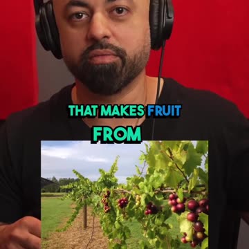 Lab meat grow with cancer cells