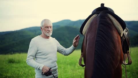 A happy senior man holding a horse grazing outdoors on a pasture