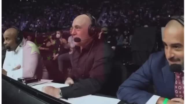 The rock isn’t loyal