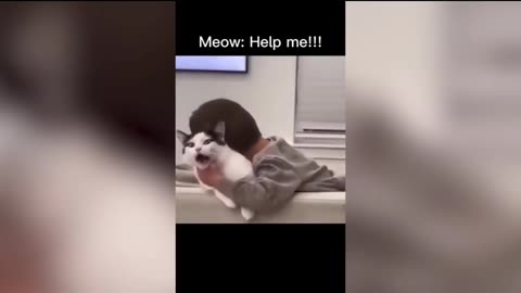 Baby playing cat cute moments 😁🤣😍🤣