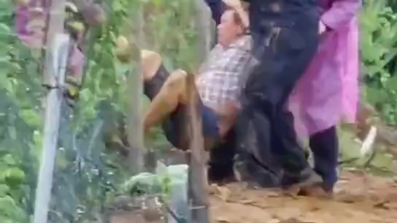 Este homem foi preso por plantar banana em vez de cana. Depois, sua plantação foi destruída