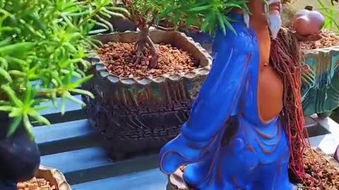 Những sáng tạo nghệ thuật cây cảnh tuyệt vời #bonsai