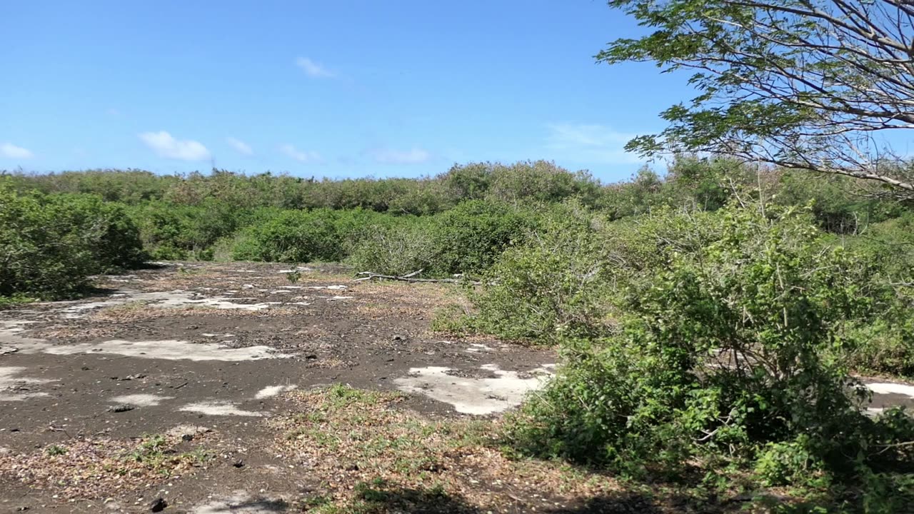 Saipan Island WWII Air Base Marpi Field