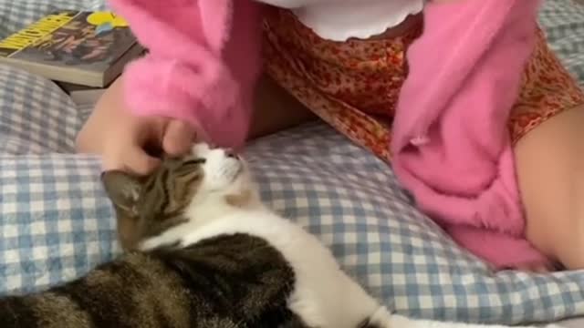 Surprise the kitten every day, will you accompany me for the rest of my life?