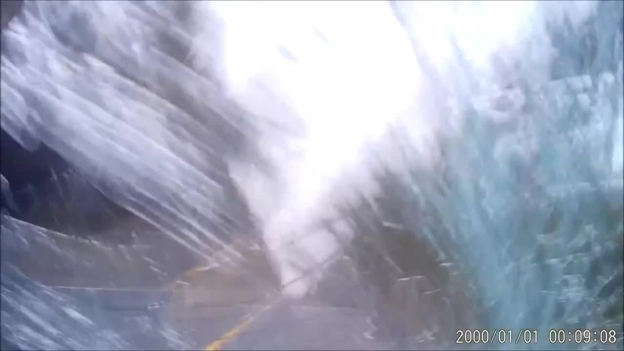 Dash cam footage captures tense moose accident