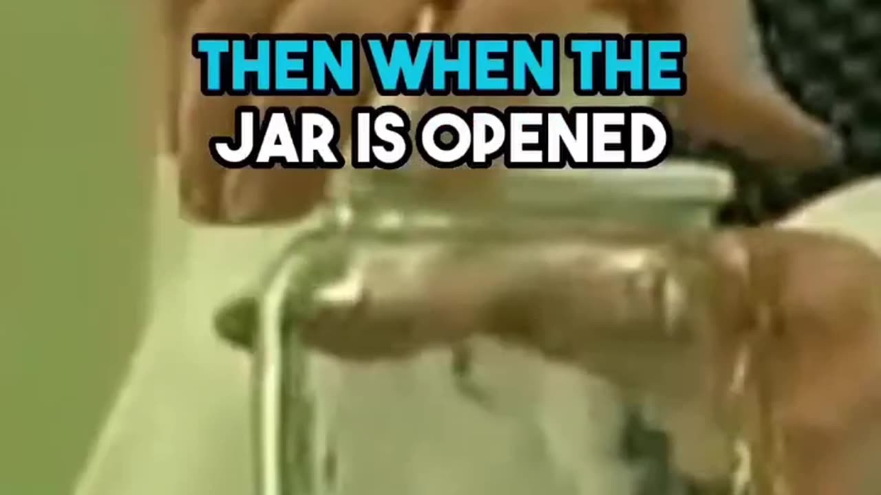 HOW FLIES FORCED TO WORK 9-5 FOREVER