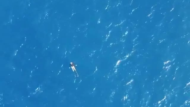 What it looks like to be alone in the ocean...