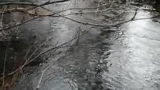 Small Waterfall at Allander Walk Way