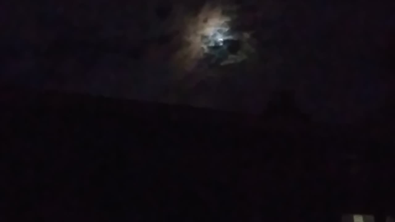 Wild black yonder