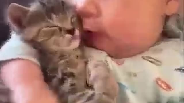 Playful Siberian Husky gives baby loving kisses Playful Siberian Husky gives baby loving kisses