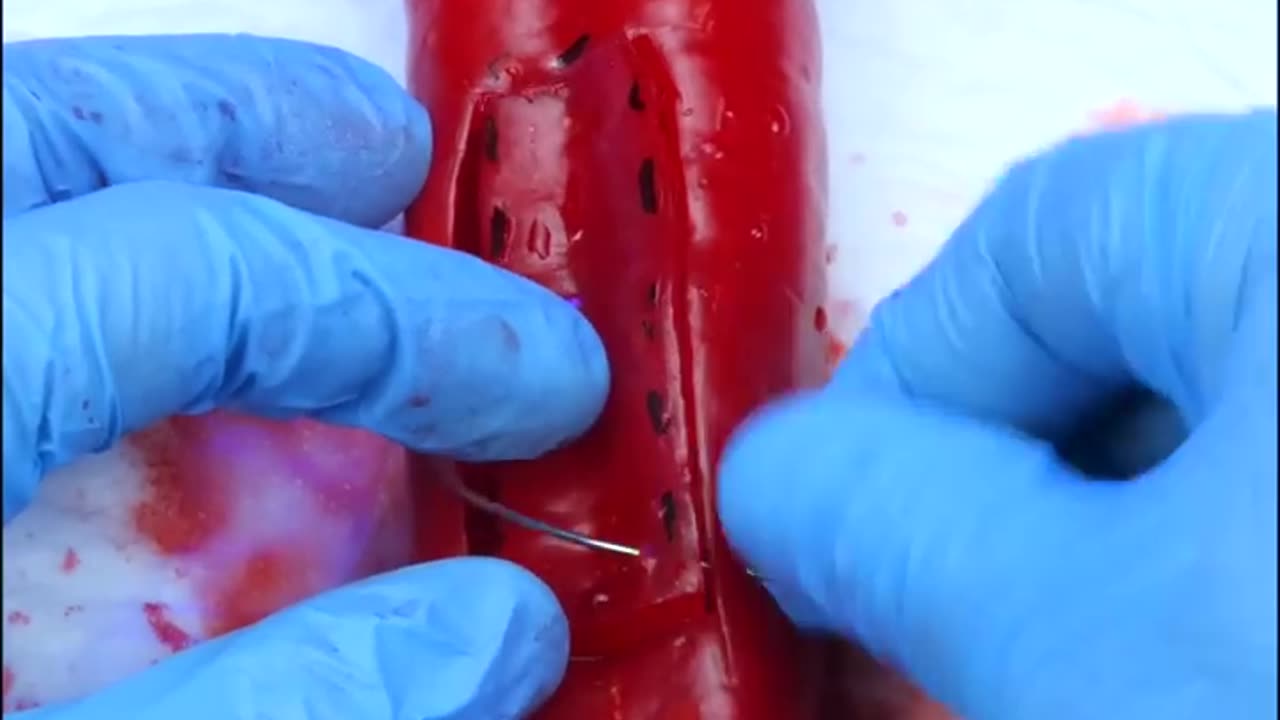 Pepper needs surgical operation Birth of a baby #shorts