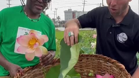 🇬🇾 Getting 7 Curry Leaves