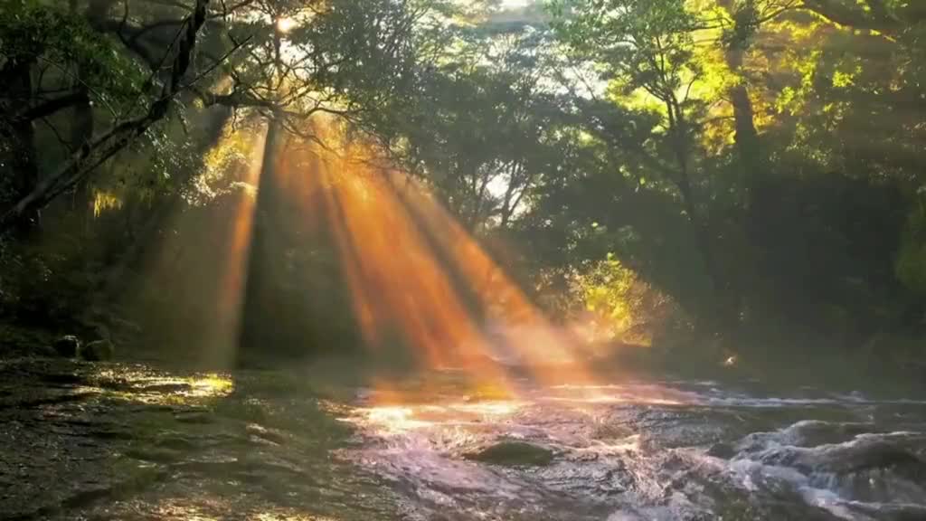 Happiness is because "your presence makes my world light"