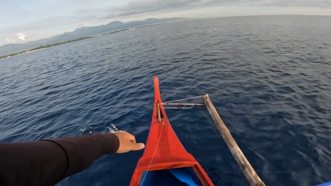 Jigging Adventure | 04 | Gold Banded Jobfish