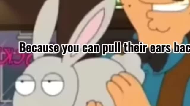 Funny Family Guy