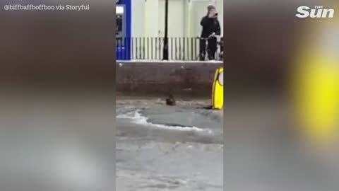 London street turns into 'river' after water main bursts