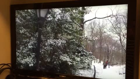 Winter in USA in Brazil local news