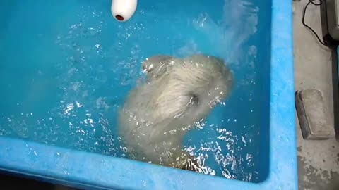 👆First swimming lesson😊