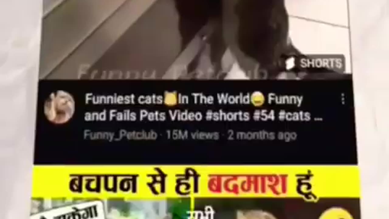 यूट्यूब से वीडियो डाउनलोड करके रंबल अपलोड करके लाख रिपिया काम सक्ता।