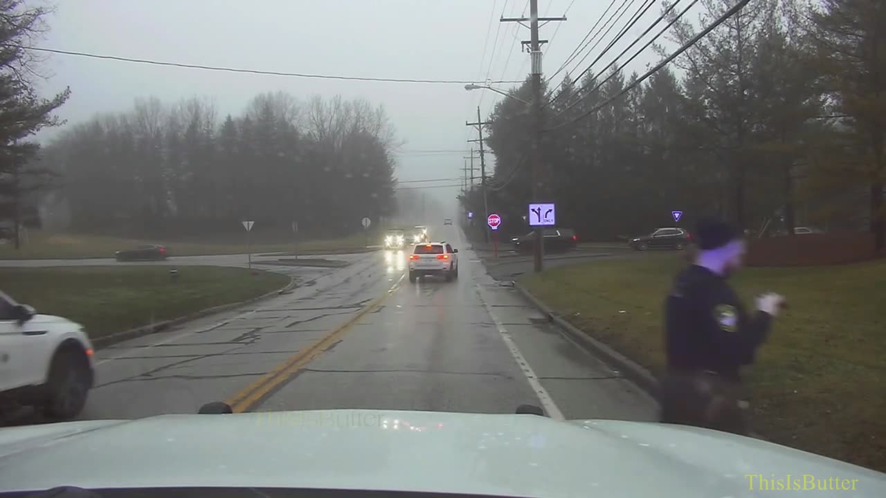 Dashcam shows Northeast Ohio officer try to corral wild turkey crossing the street