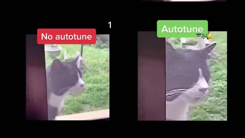 Autotone #viral #trending