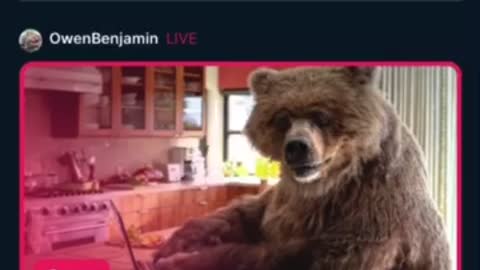 Owen Benjamin -part 1 : 24/01/2023