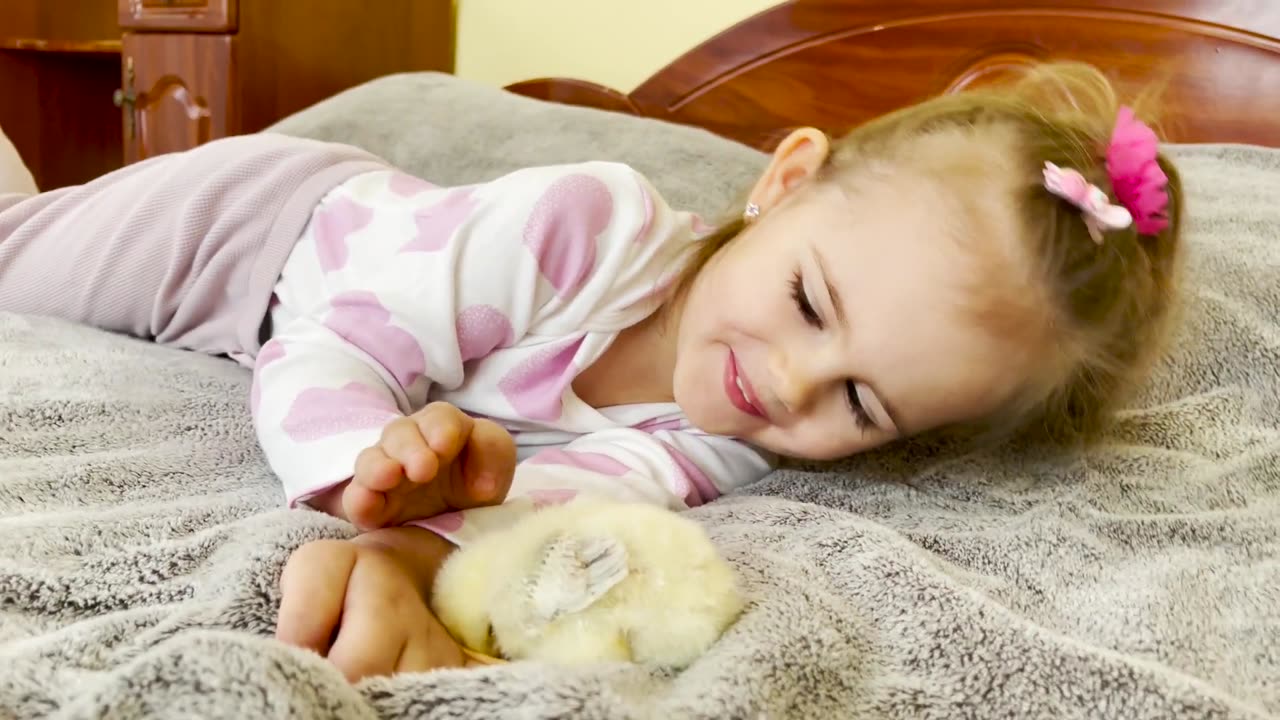 Tiny Chicks Think the Adorable Little Girl is Their Mom (Cutest Ever!!)