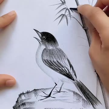 Pencil art ✍️