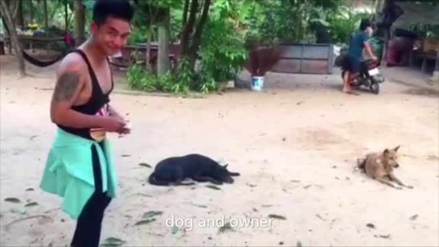 dog and owner funny videod