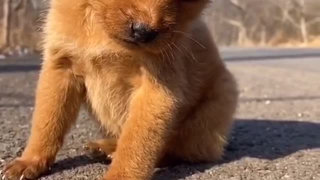 So cute.