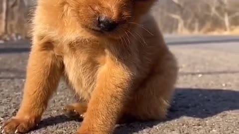 So cute.