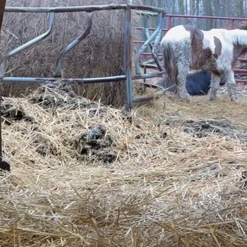 They want to be outside!