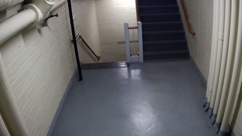 3891FHOB05Stair4_2021-01-05_16h20min02s407ms.mp4