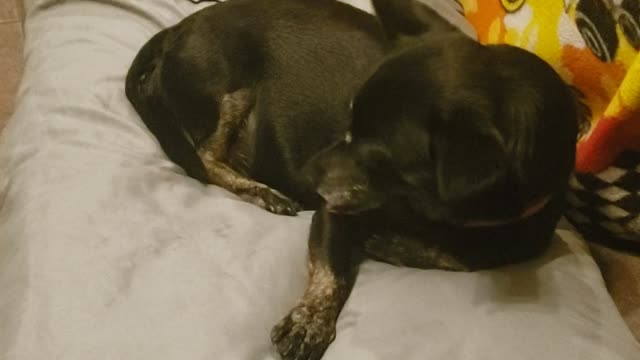 Isaiah 6:8 here i am send me