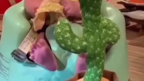 Baby's adorable with s talking cactus toy....