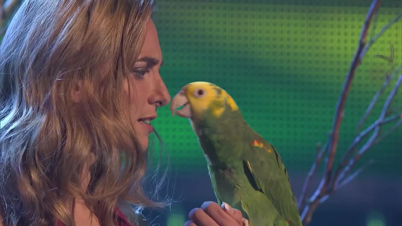 America's Got Talent - Echo of Animal Gardens - Top 48 - Season 6