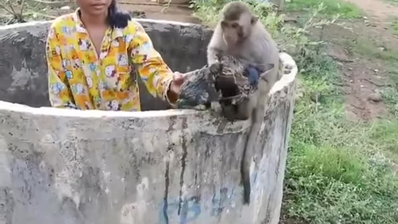 Heartwarming 💕 What an extraordinary show of courage and emotions by this monkey