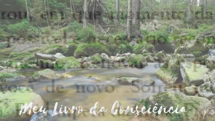 Meu livro da Consciência - Sempre é tempo de recomeçar -02 de março - Peixes