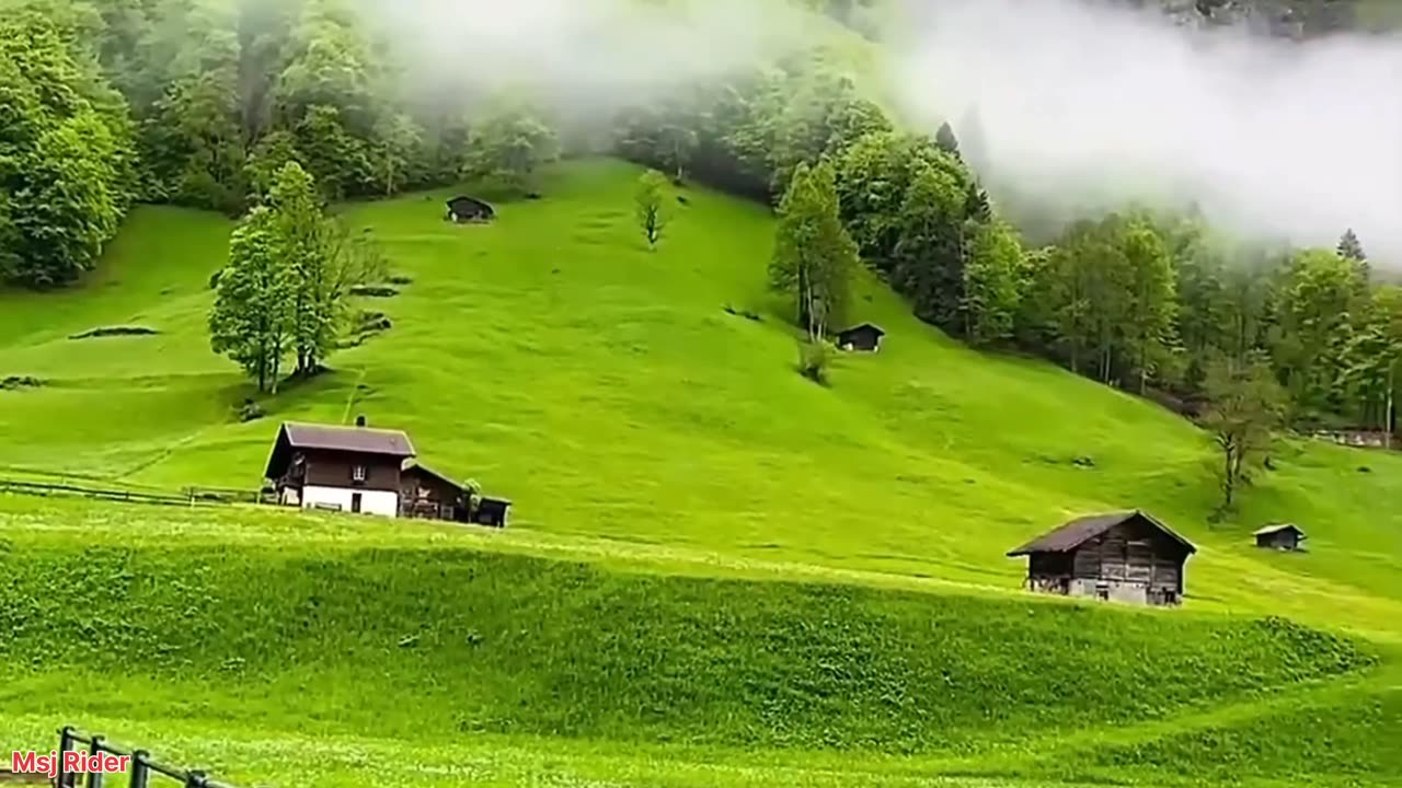 Kashmir 4k Video Beautiful Nature