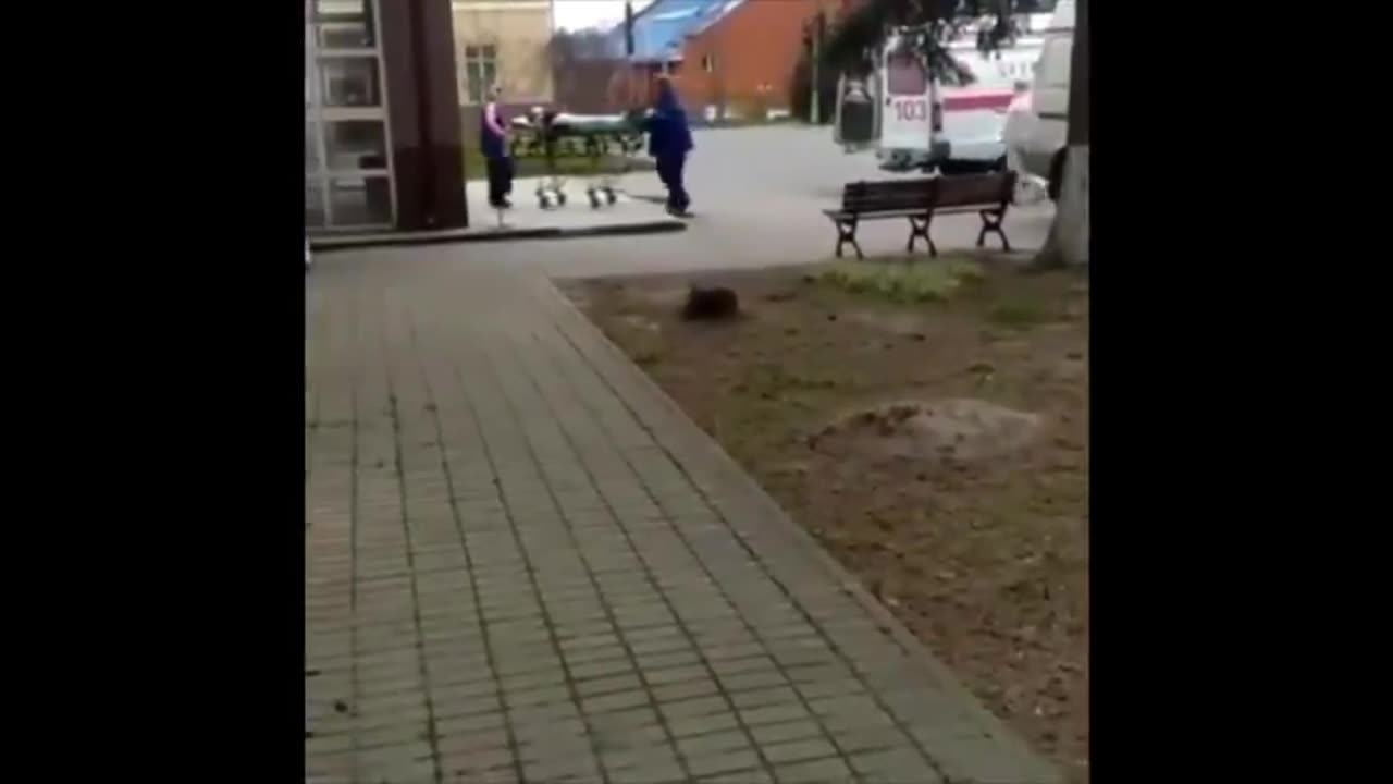 PHOTOGRAPHER TAKING PICTURES OF A FAKE CORONA PATIENT AT A HOSPITAL