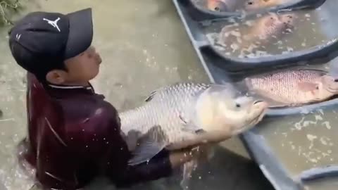 😲Waw Amazing Fishing Skill