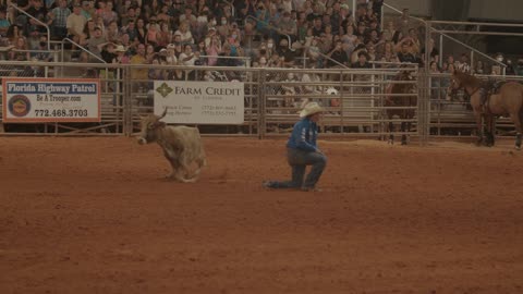 Cowboy Through Cow to The Ground in Record Time