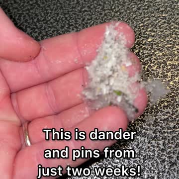 An overlooked way to keep your bird healthy!