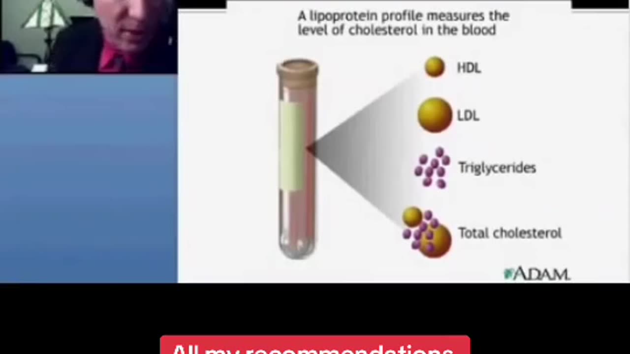Cholesterol Is Not The Enemy?