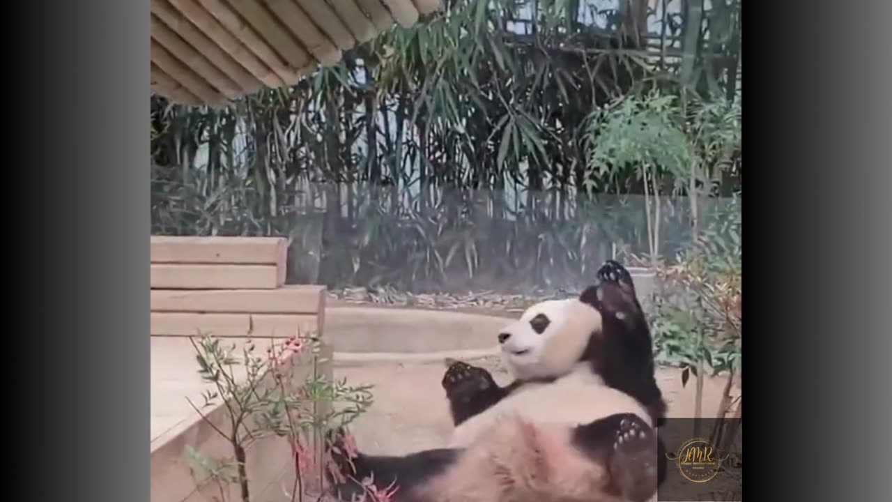 The Best of Funny Fails: Epic Blunders and Laugh-Loud Mishaps Condensed for Your Amusement!ENJOY!